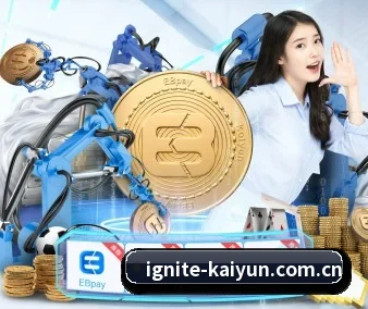 国际化进程 - kaiyun